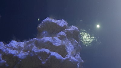 20160320_194544.jpg