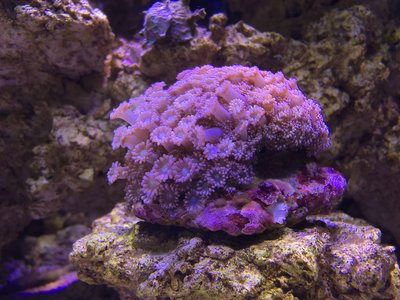 IMG_1153.JPG