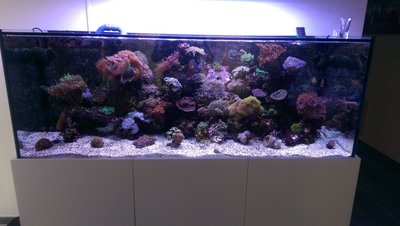 Becken_22.03.2016.jpg