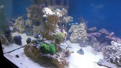 IMG-20160328-WA0030.jpg