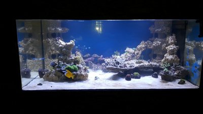IMG-20160328-WA0028.jpg