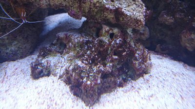 DSC_0363.jpg