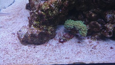 DSC_0366.jpg