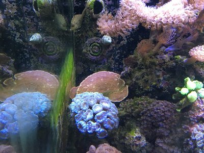 k-IMG_1462.JPG