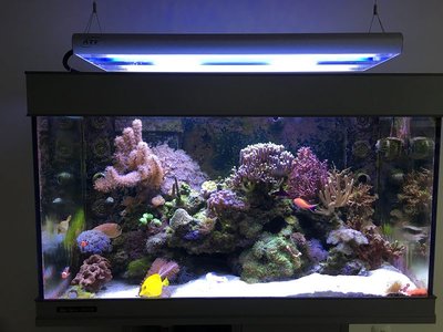 k-IMG_1463.JPG