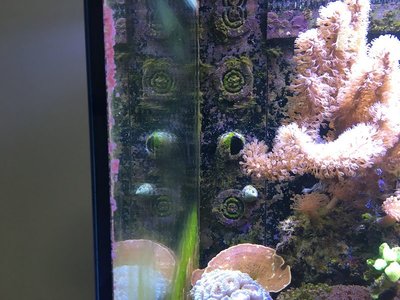 k-IMG_1464.JPG