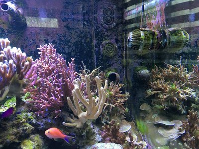 k-IMG_1465.JPG