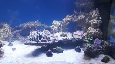 IMG-20160330-WA0044.jpg