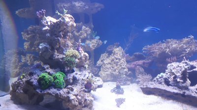 IMG-20160330-WA0045.jpg