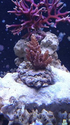 DSC_0401.jpg