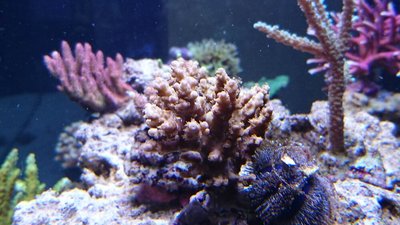 DSC_0482.jpg