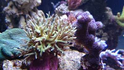 DSC_0485.jpg