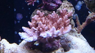 DSC_0024.jpg