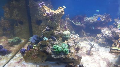 IMG-20160418-WA0036.jpg
