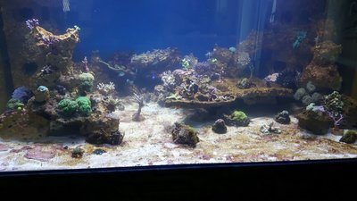 IMG-20160418-WA0037.jpg