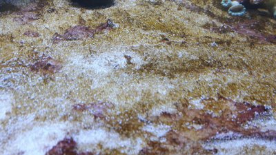 IMG-20160419-WA0037.jpg