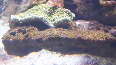 IMG-20160419-WA0036.jpg