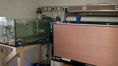IMG-20160419-WA0041.jpg