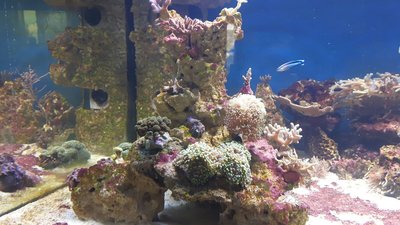 IMG-20160428-WA0038.jpg
