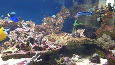 IMG-20160428-WA0037.jpg