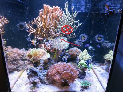 IMG_7787b.jpg