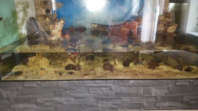 IMG-20160510-WA0014.jpg