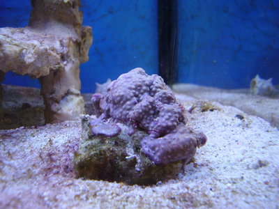 P8200006.JPG