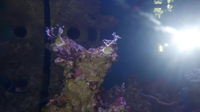 IMG-20160511-WA0017.jpg