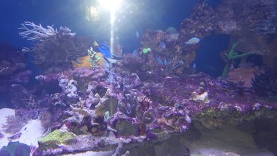 IMG-20160511-WA0014.jpg