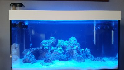 20150822_092142.jpg