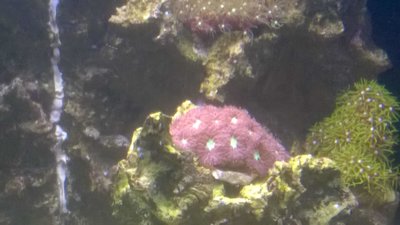TFWP_20160528_14_10_18_Pro.jpg