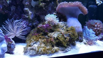 20160616_151956-640x360.jpg