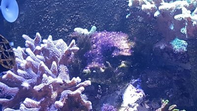 20160616_151928-640x360.jpg