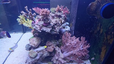 DSC_0383_20160626233551651.jpg