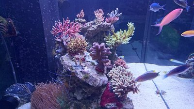 DSC_0384.jpg