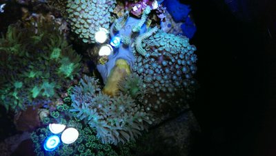 2016062812080200.jpg