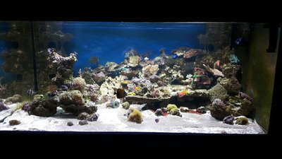 IMG-20160705-WA0017.jpg