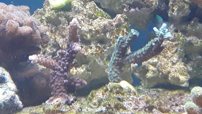 IMG-20160705-WA0018.jpg