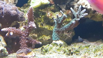 IMG-20160705-WA0019.jpg