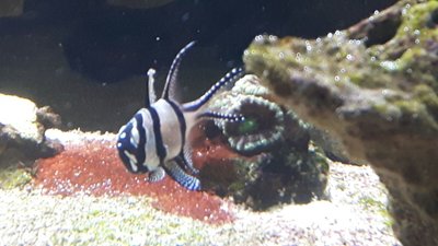IMG-20160704-WA0003.jpg