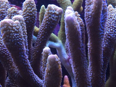 IMG_9570.JPG