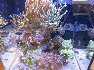 IMG_4871a.jpg