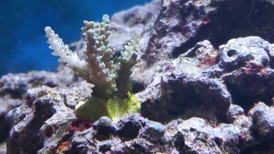 IMG-20160726-WA0000.jpg