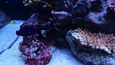 DSC_0507.jpg