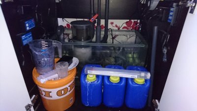 DSC_0466.jpg