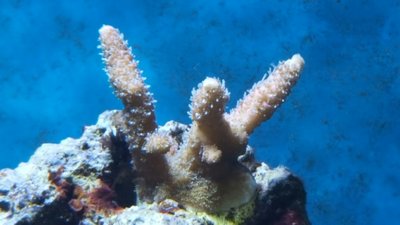 IMG-20160807-WA0017.jpg