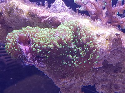20160815_181154.jpg