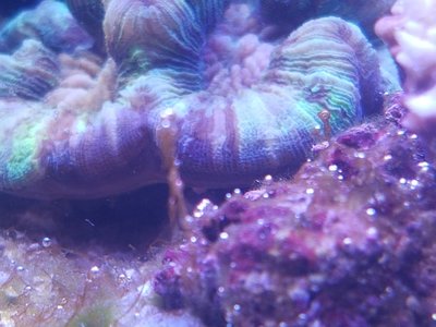 20160815_181329.jpg