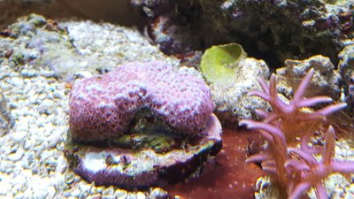 IMG-20160723-WA0026.jpg