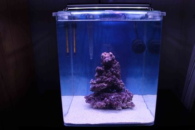 Nano1.jpg (276.17 KiB) 17746 mal betrachtet Hier ein Foto, damit ihr eine Vorstellung von meinem Nano bekommt.